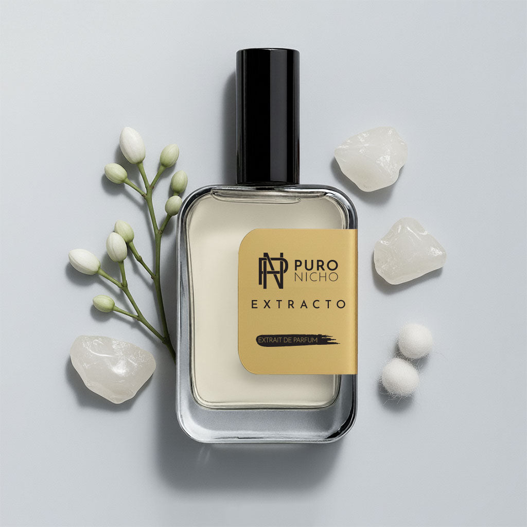 Lumière Contrastée