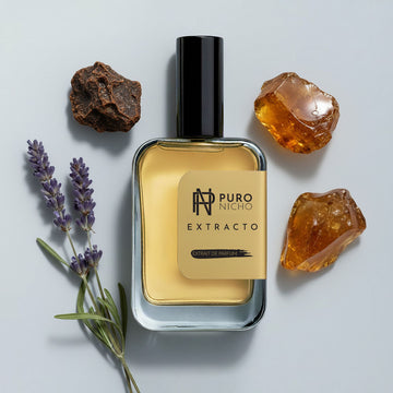 Ambre Noctis